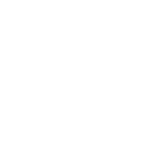 flash